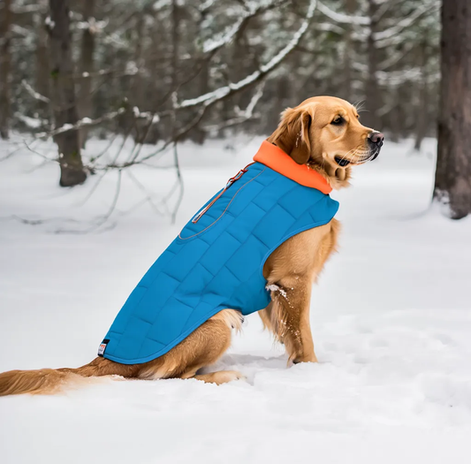 Chaqueta Impermeable Reflectante para Perros