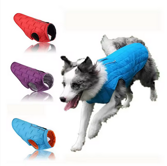 Chaqueta Impermeable Reflectante para Perros