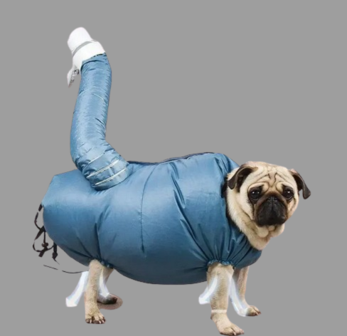 Secador plegable para mascotas
