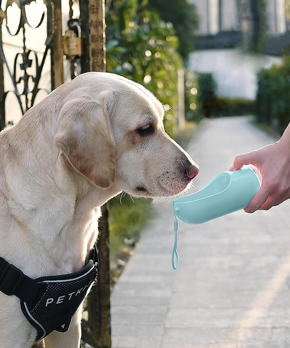 Botella Portátil para Mascotas con Filtro