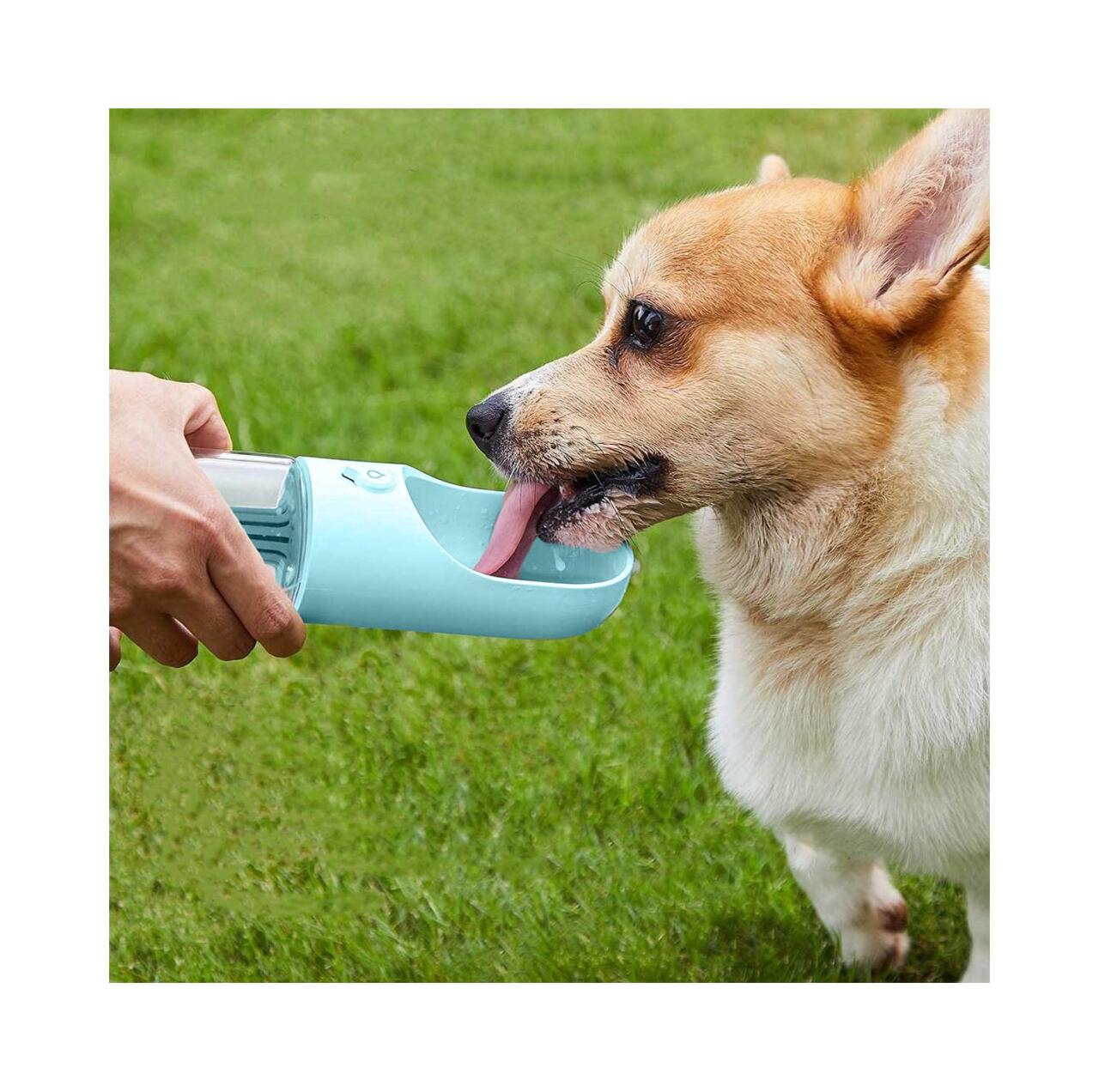 Botella Portátil para Mascotas con Filtro